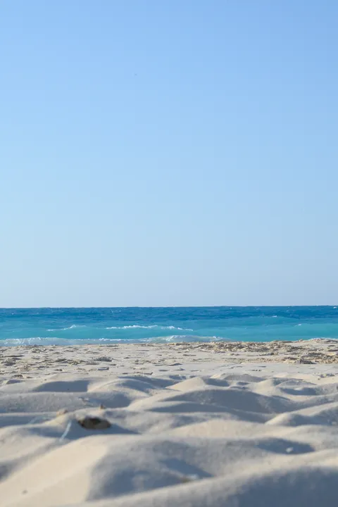 Mediterranean