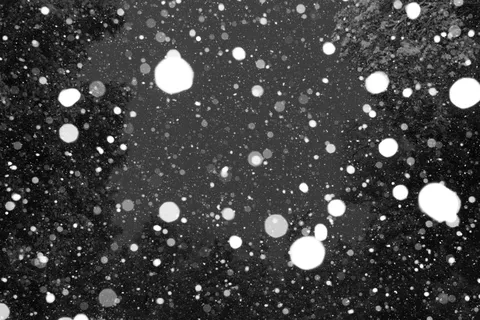 First Snow